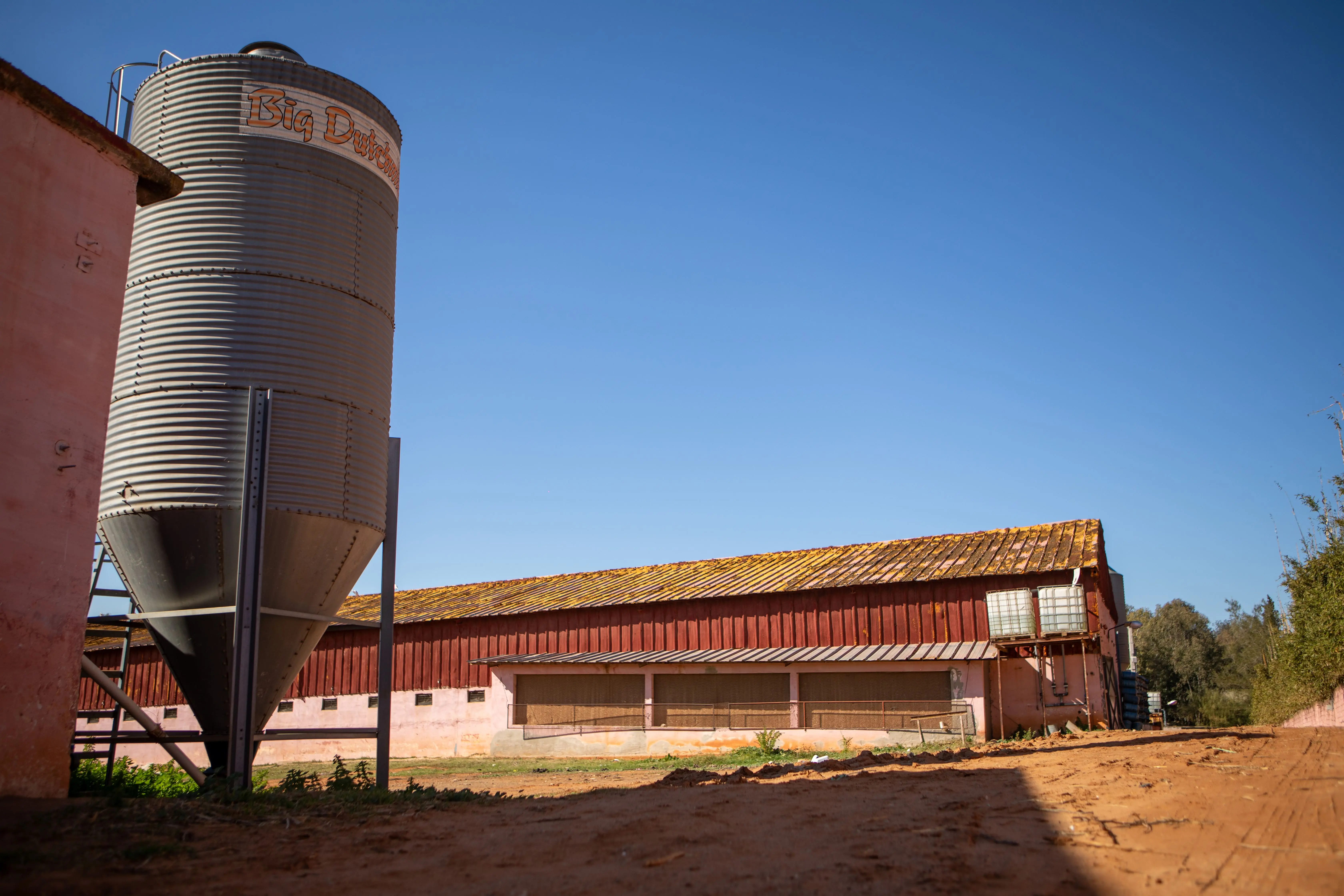 Ferme