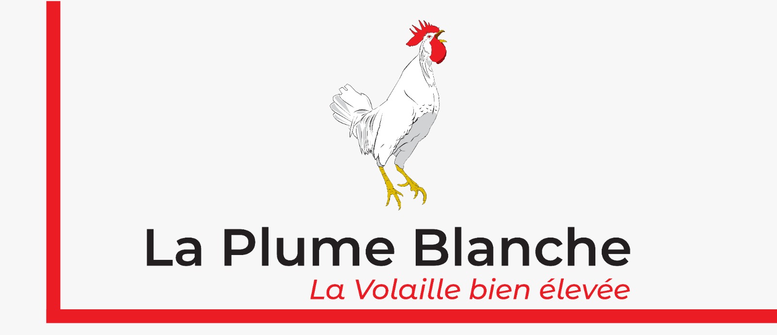 Logo La Plume Blanche